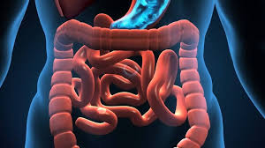 جراح عمومی : (General surgeon) چه کسی هست؟