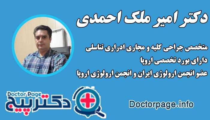 دکتر امیر ملک احمدی بهترین دکتر کلیه